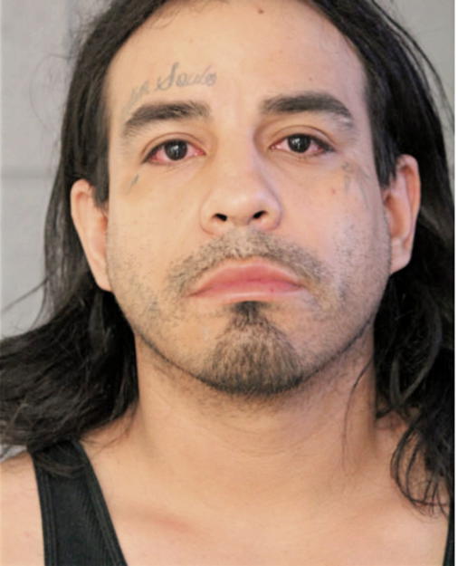 ERNESTO FLORES, Cook County, Illinois
