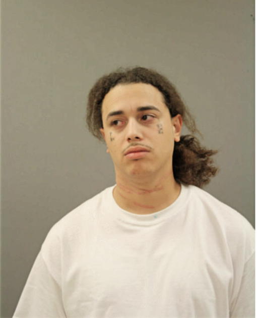 REYNALDO FLORES, Cook County, Illinois