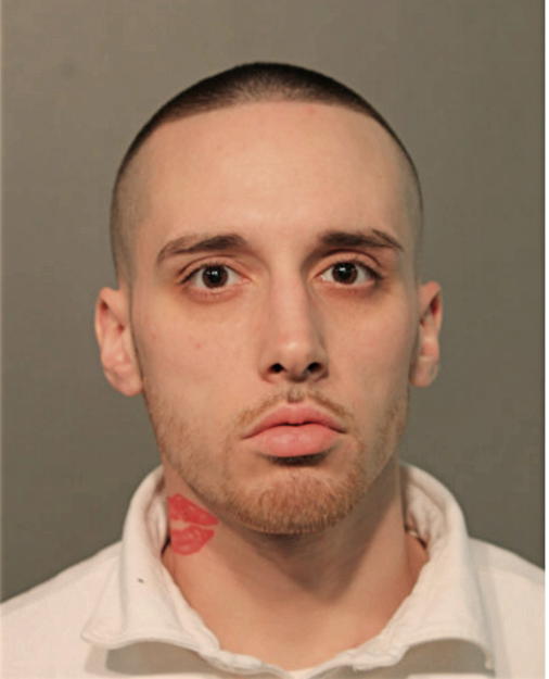 ANTHONY P FRANCESCHI, Cook County, Illinois