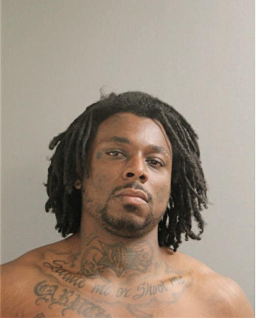 JARVIS B GARRETT, Cook County, Illinois