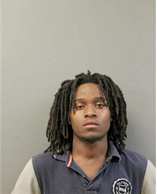 JARELLE L JONES, Cook County, Illinois