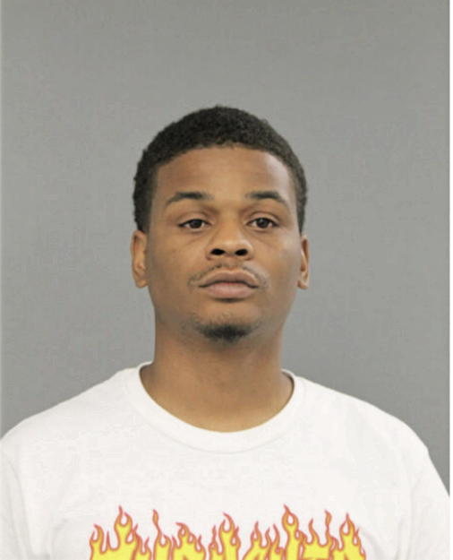 BRIAN K ANDERSON, Cook County, Illinois