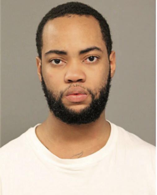 CAREY R LEE, Cook County, Illinois
