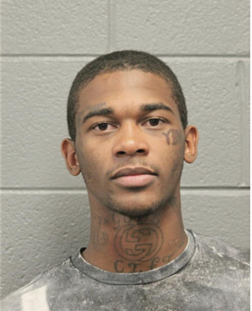 TION T LEWIS, Cook County, Illinois