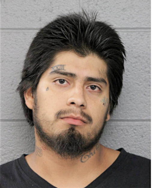 DOMINGO MENDOZA, Cook County, Illinois