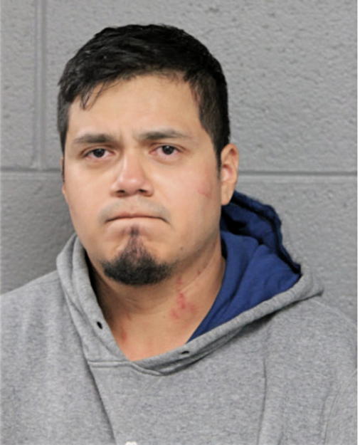 LUIS G MOYA, Cook County, Illinois