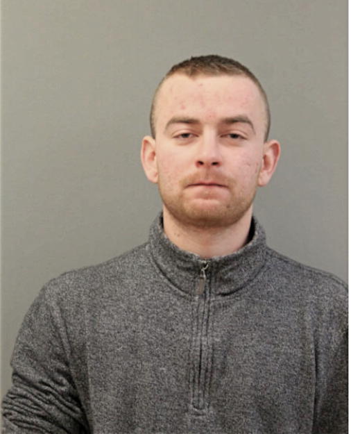 MATEUSZ NIEDBALA, Cook County, Illinois