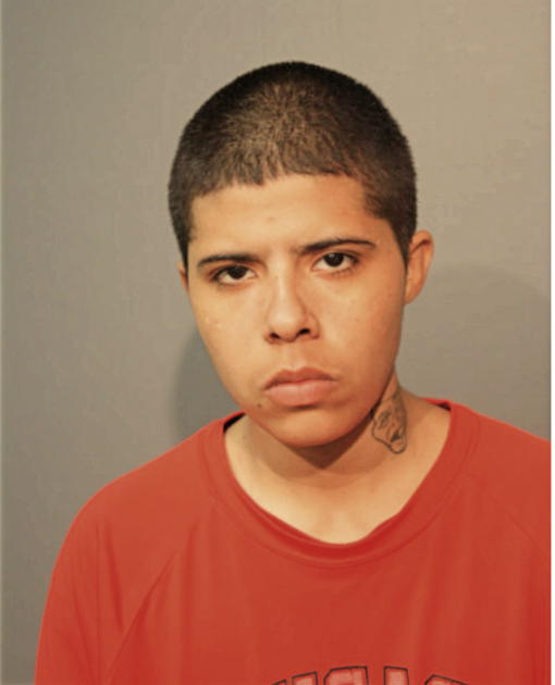 DELIANA NIEVES, Cook County, Illinois