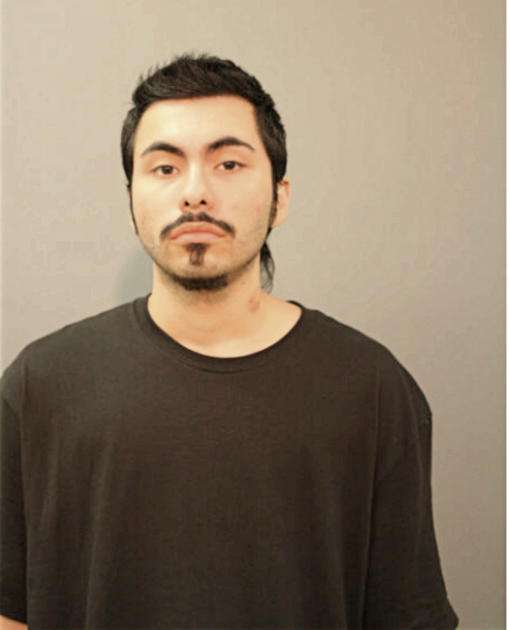 MIGUEL A PILAMUNGA, Cook County, Illinois