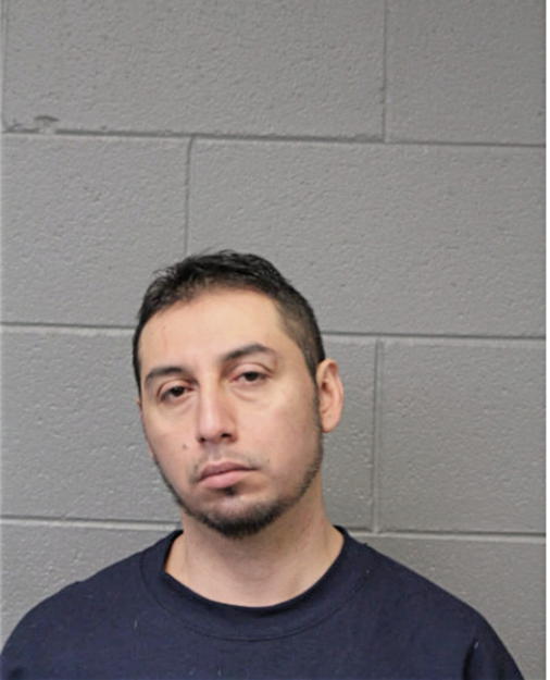 SAUL PINA, Cook County, Illinois