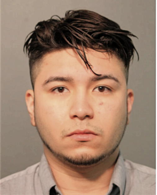 JAVIER PUGA, Cook County, Illinois
