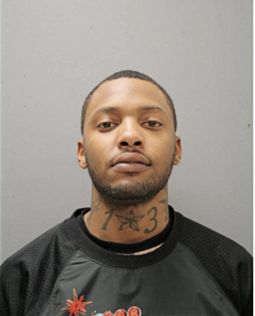 BRIAN A ROSS, Cook County, Illinois