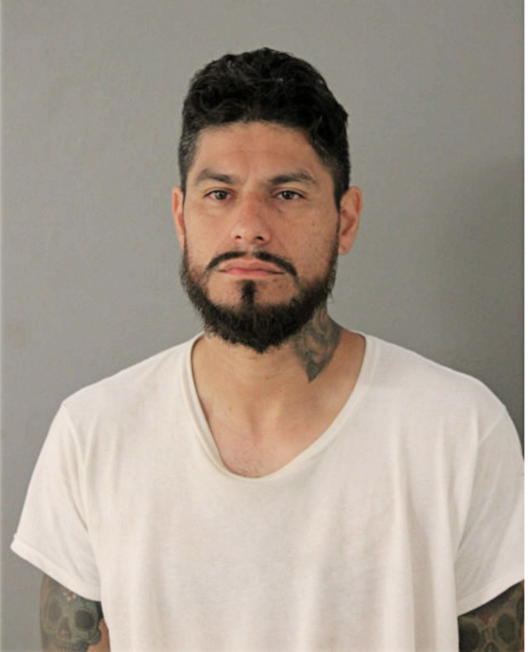ERIC TORRES, Cook County, Illinois