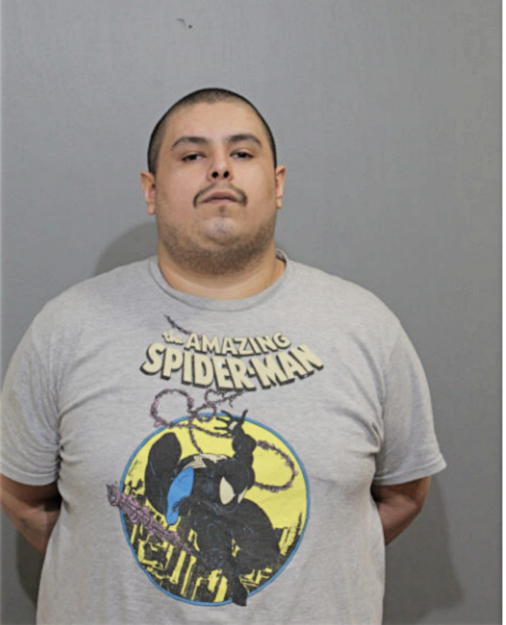 MIGUEL A VEGA, Cook County, Illinois