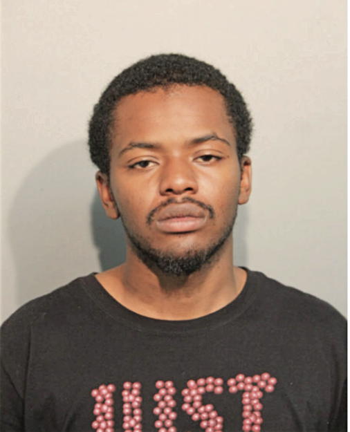 DAVID F VILLANUEVA, Cook County, Illinois