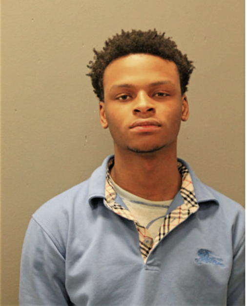 RONALD M WILSON, Cook County, Illinois