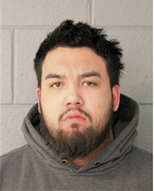 DAVID VILLAREAL ZAPATA, Cook County, Illinois