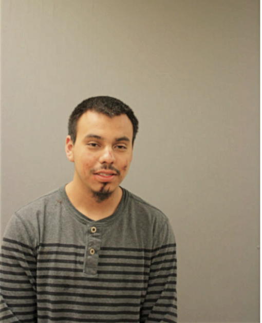 ISIDRO ALEMAN, Cook County, Illinois