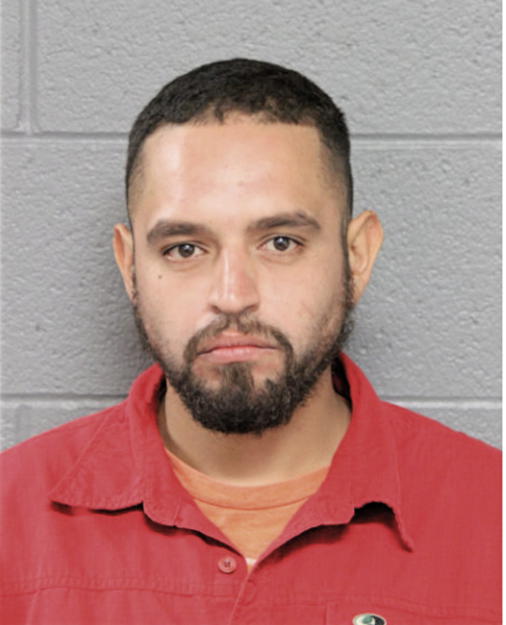 LUIS A ALVAREZ, Cook County, Illinois