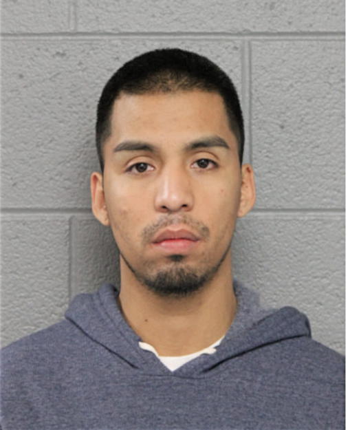 YOVANI ANDRADE, Cook County, Illinois
