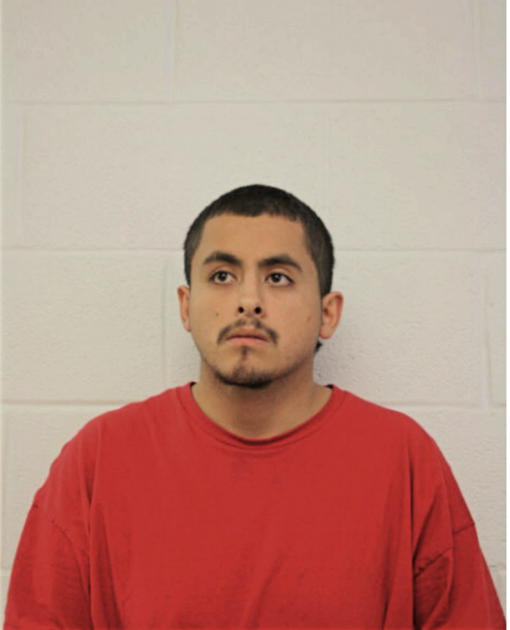 MICHAEL A CAMARENA, Cook County, Illinois