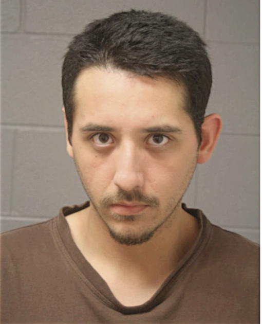 ANTONIO R ESTRADA, Cook County, Illinois