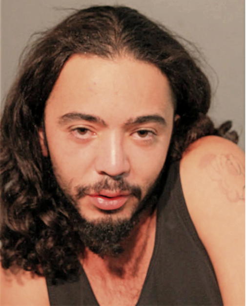 LEONARDO FERNANDEZ, Cook County, Illinois