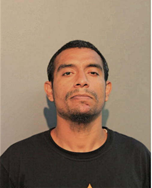 DANTE A FIGUEROA, Cook County, Illinois