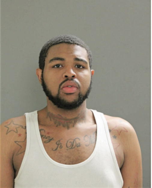 BRUCE E FORD, Cook County, Illinois
