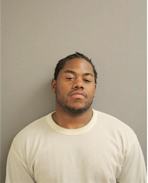 JUSTIN S GARMON, Cook County, Illinois