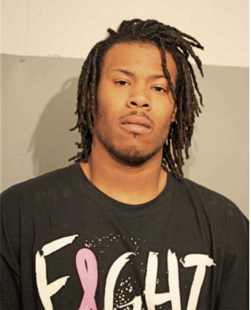MICHAEL J JAMES, Cook County, Illinois