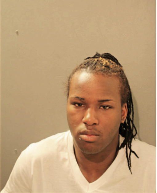 CHRISTIAN L JOHNSON, Cook County, Illinois
