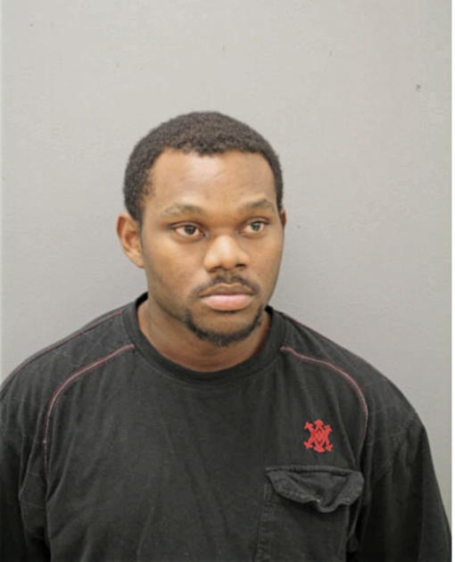 MICHAEL D JOHNSON, Cook County, Illinois