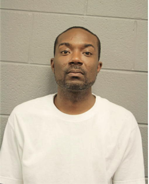 SHAUN L JOHNSON, Cook County, Illinois