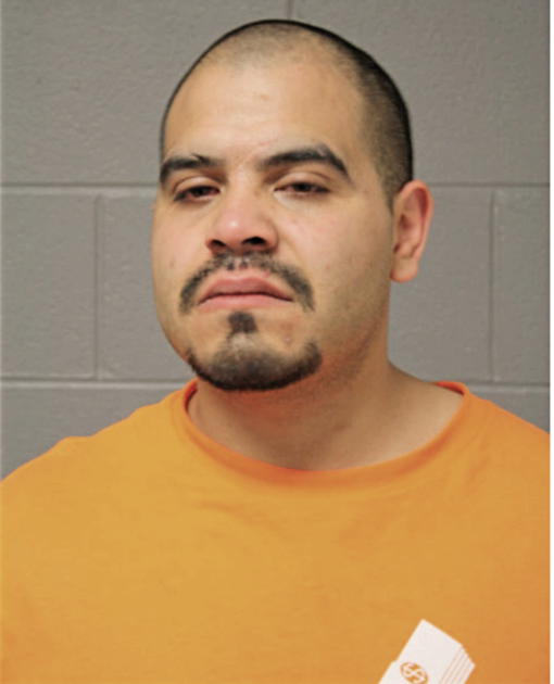 JESUS F MENDOZA, Cook County, Illinois