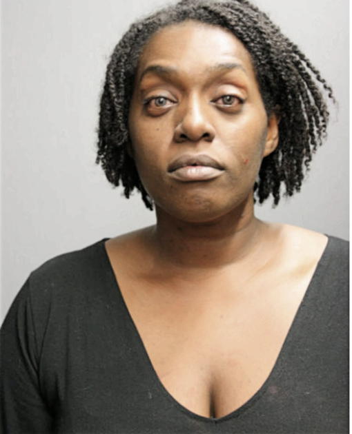 CARLENE E MIGHTY, Cook County, Illinois