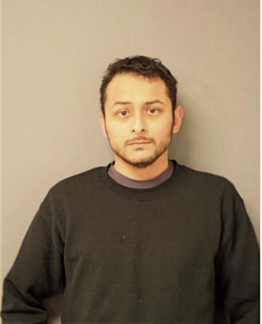 SERGIO ORNEALS, Cook County, Illinois