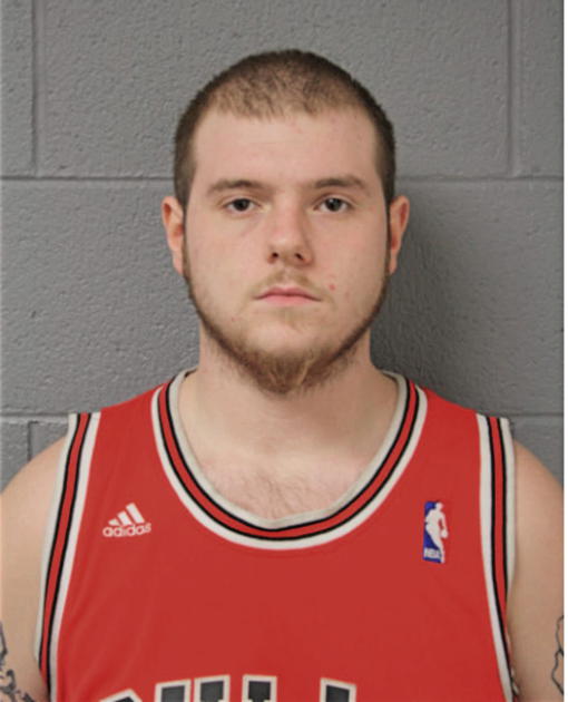 RYAN W REDMOND, Cook County, Illinois