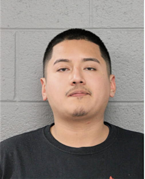 ALFREDO REYES, Cook County, Illinois