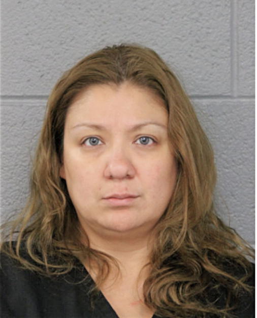 DIANA J ROCHA, Cook County, Illinois