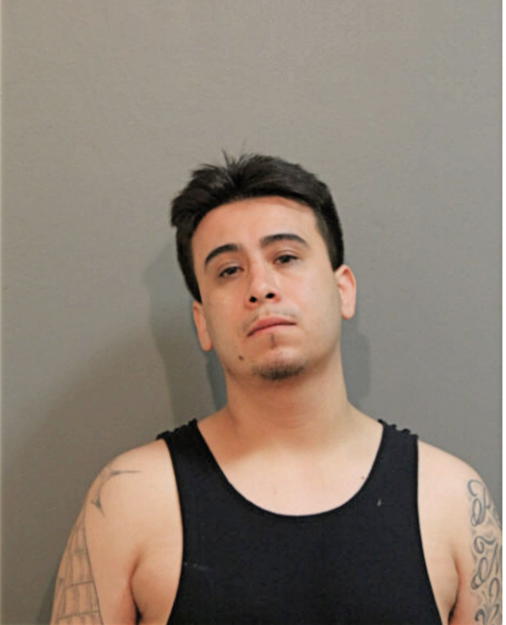 LEOBARDO RUBALCABA, Cook County, Illinois