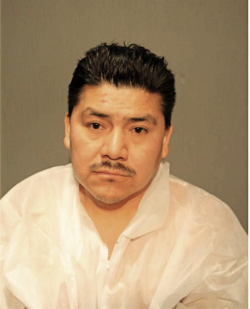 VICENTE SALGADO, Cook County, Illinois