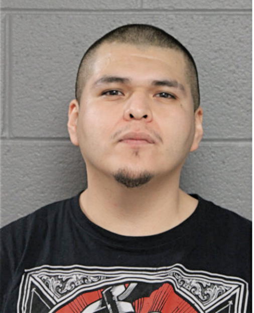 ANTHONY SENDEJA, Cook County, Illinois