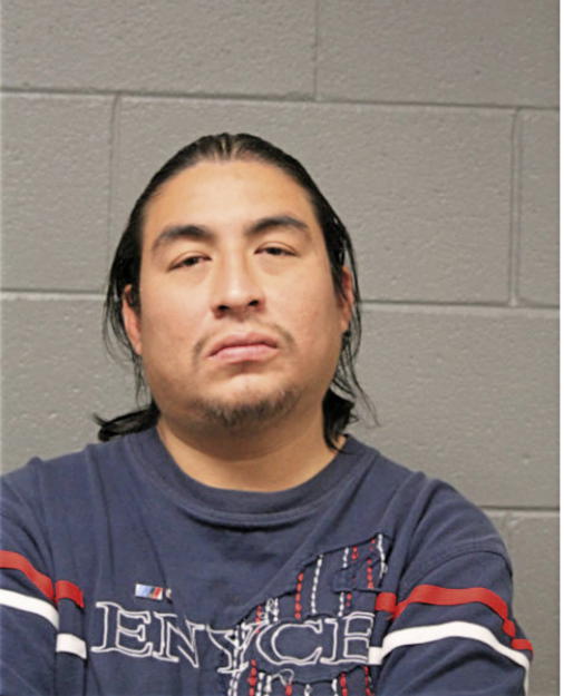 DAVID UGARTE, Cook County, Illinois
