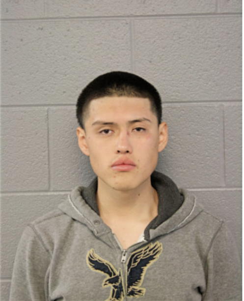 DANIEL VARGAS, Cook County, Illinois
