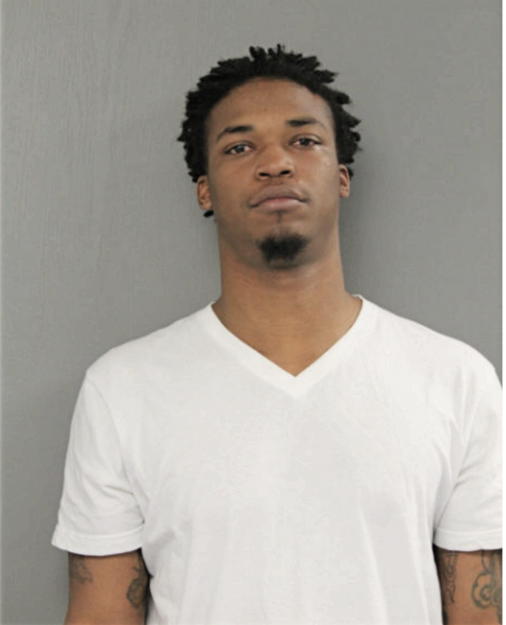 DOUGLAS C YOUNG, Cook County, Illinois