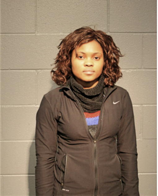 OLUWASEUM AJAYI, Cook County, Illinois