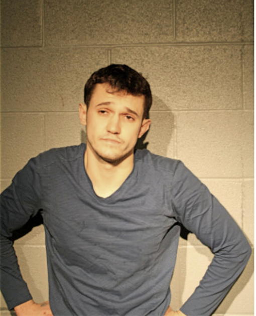 RIJAD ALIBASIC, Cook County, Illinois