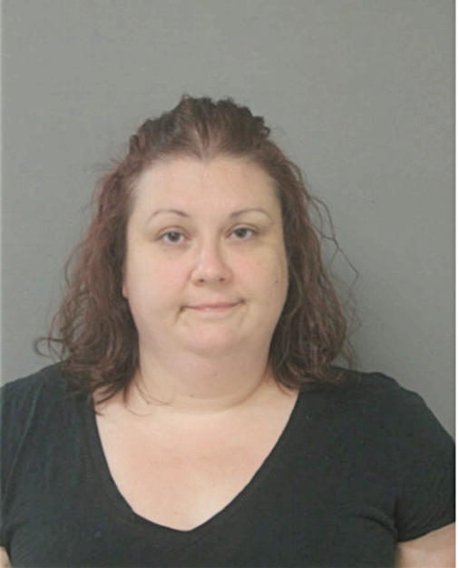 MELISSA J ALLEGRETTI, Cook County, Illinois