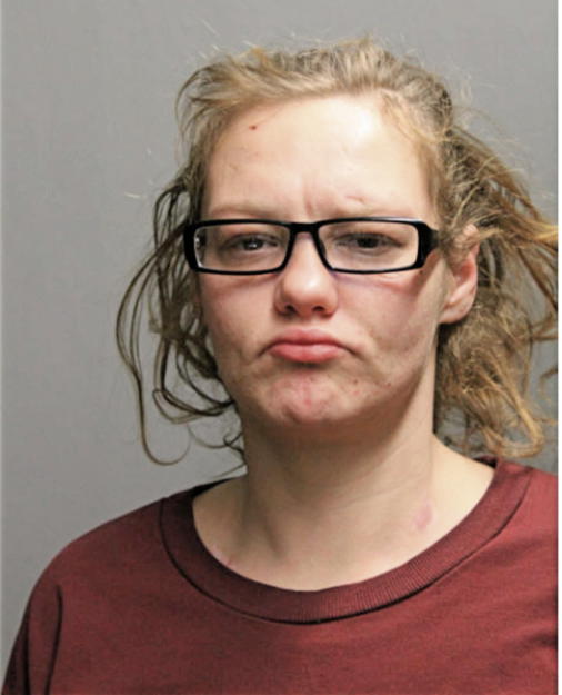 HOLLY G BUTLER, Cook County, Illinois